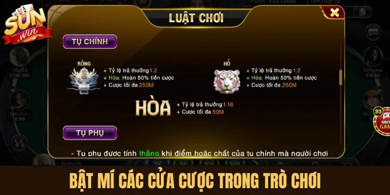 Bật mí các cửa cược trong trò chơi